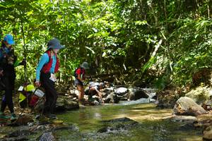 BIB: 
                            <button type="button" onclick="openModal(21844978)" class="btn btn-primary btn-sm float-right btn-popup" data-toggle="modal" data-target=".modal-high-quality">
                        <i class="fas fa-shopping-cart"></i> Add to Cart
                    </button>
                                            <button type="button" onclick="isThisMe(21844978, true)" class="btn btn-success btn-sm float-right btn-popup btn-isme hidden" data-toggle="tooltip" data-placement="bottom" title="นี่คือรูปของคุณใช่ไหม คลิกที่นี่เพื่อเอาเข้าอัลบั้ม">
                        <i class="fas fa-plus"></i> Add to album
                    </button>
                    <button type="button" onclick="isThisMe(21844978, false)" class="btn btn-warning btn-sm float-right btn-popup btn-isnotme hidden">
                        <i class="fas fa-ban"></i> Remove from album
                    </button>